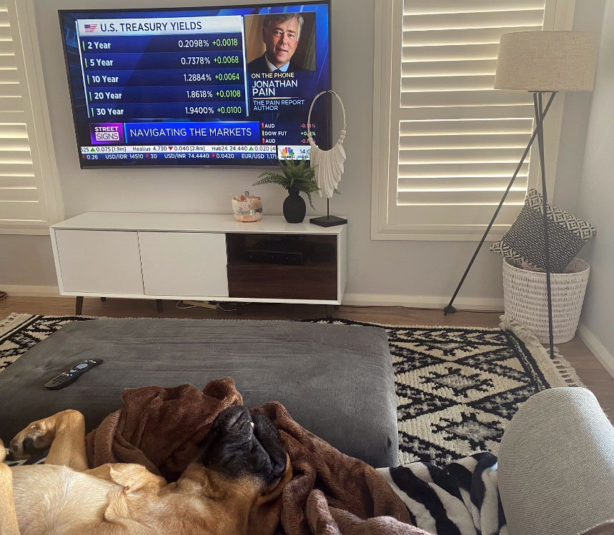 sleeping dog navigating the markets tv in foreground